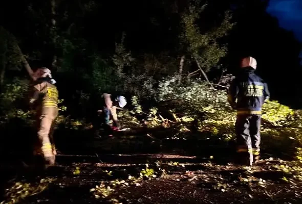 Drzewo na drodze w Ostaszowie – interwencja OSP Przemków