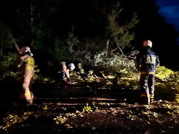 Drzewo na drodze w Ostaszowie – interwencja OSP Przemków