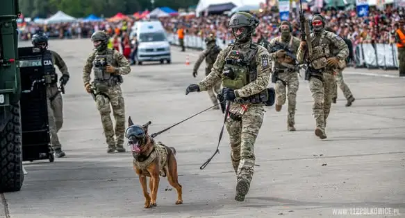 Wspólna operacja antyterrorystyczna Polaków, Czechów i Słowaków na NATO Days 2026