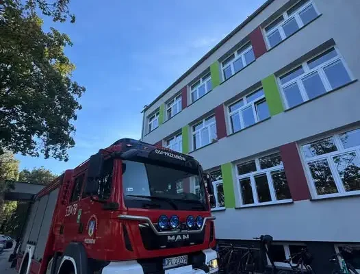 Interwencja strażaków w Zespole Szkół w Przemkowie – usuwanie gniazda owadów błonkoskrzydłych