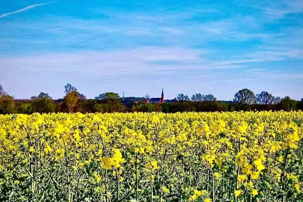 Awaria pomp w Grodowcu – mieszkańcy bez wody, ZGK podstawia baniak
