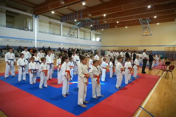 Polkowiccy karatecy z medalem drużynowym na IKO Cuprum Cup