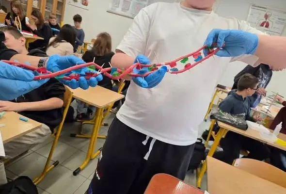 Uczniowie klasy 8 z Radwanic budują modele DNA na lekcji biologii