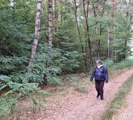 Jesienne grzybobranie seniorów z Gminy Gaworzyce
