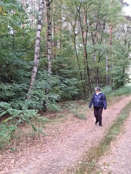 Jesienne grzybobranie seniorów z Gminy Gaworzyce