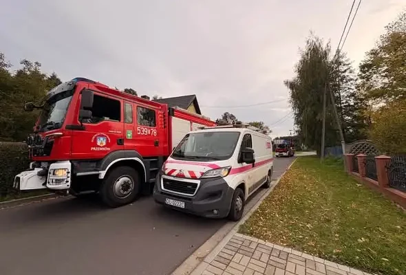 Szop uwięziony na słupie energetycznym — interwencja strażaków w Przemkowie
