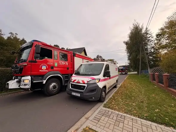 Szop uwięziony na słupie energetycznym — interwencja strażaków w Przemkowie