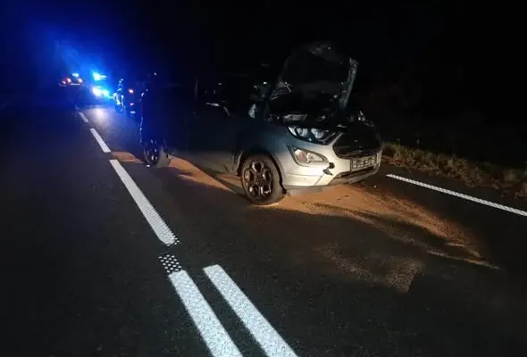 Kolizja z dziką zwierzyną na DK12. Interweniowały cztery zastępy straży pożarnej