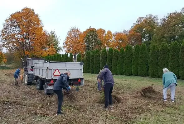 Grabik: mieszkańcy wspólnie uporządkowali łąkę kwietną